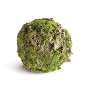 NAPA Home & Garden, MOSSY LICHEN ORB 6.5",N4TP02