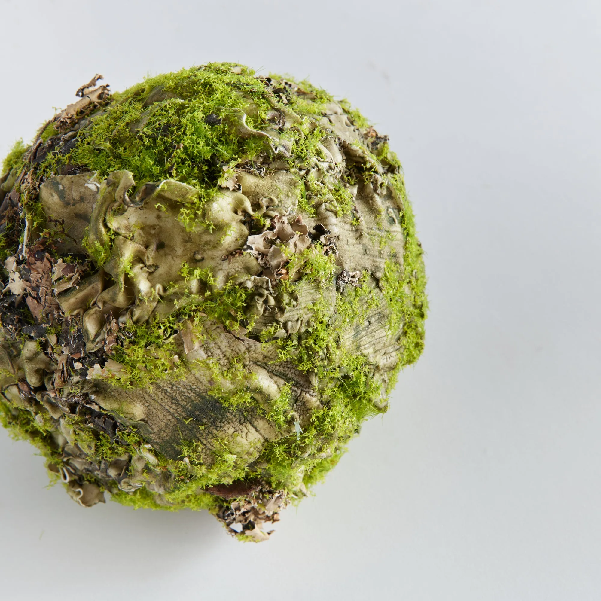 NAPA Home & Garden, MOSSY LICHEN ORB 6.5",N4TP02