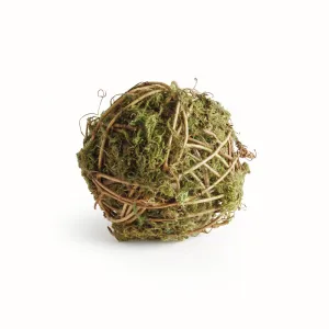 NAPA Home & Garden, MOSSY VINE ORB 4",N4CC06