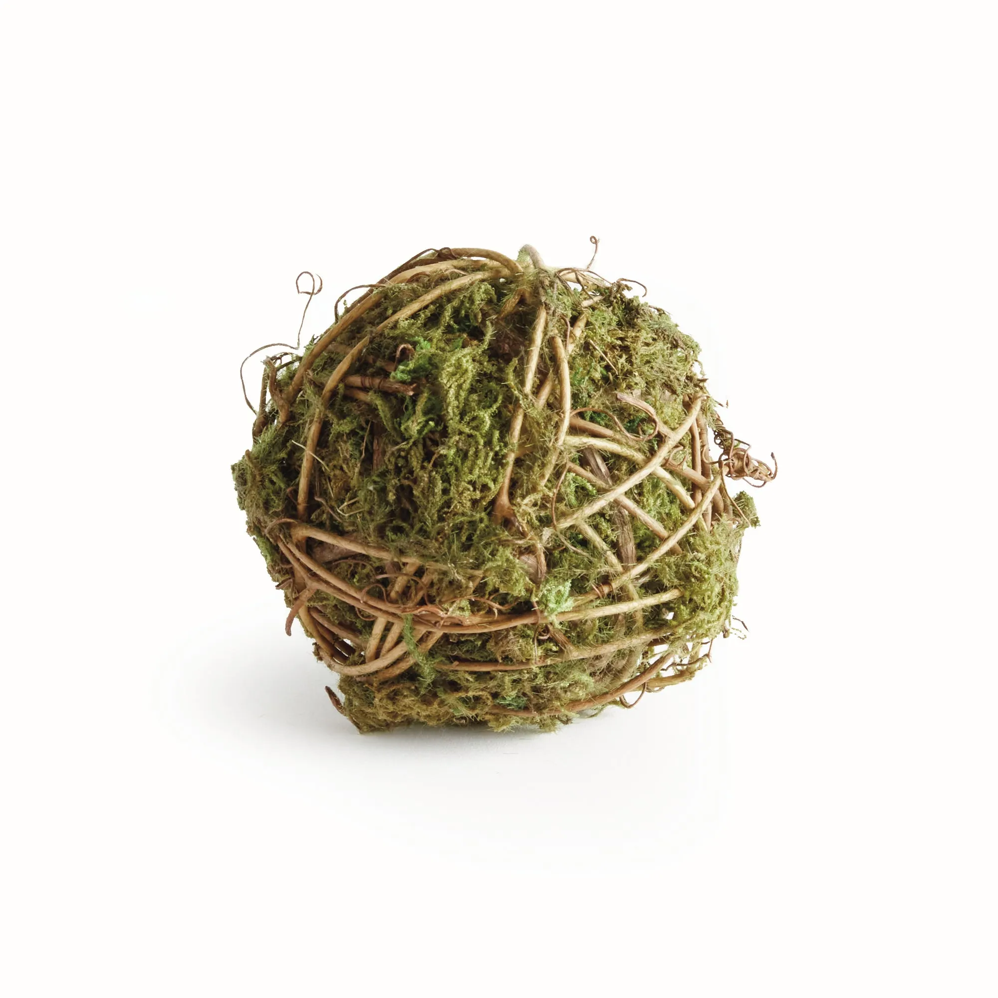 NAPA Home & Garden, MOSSY VINE ORB 4",N4CC06