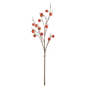 NAPA Home & Garden, PERSIMMON BRANCH 60",CC309