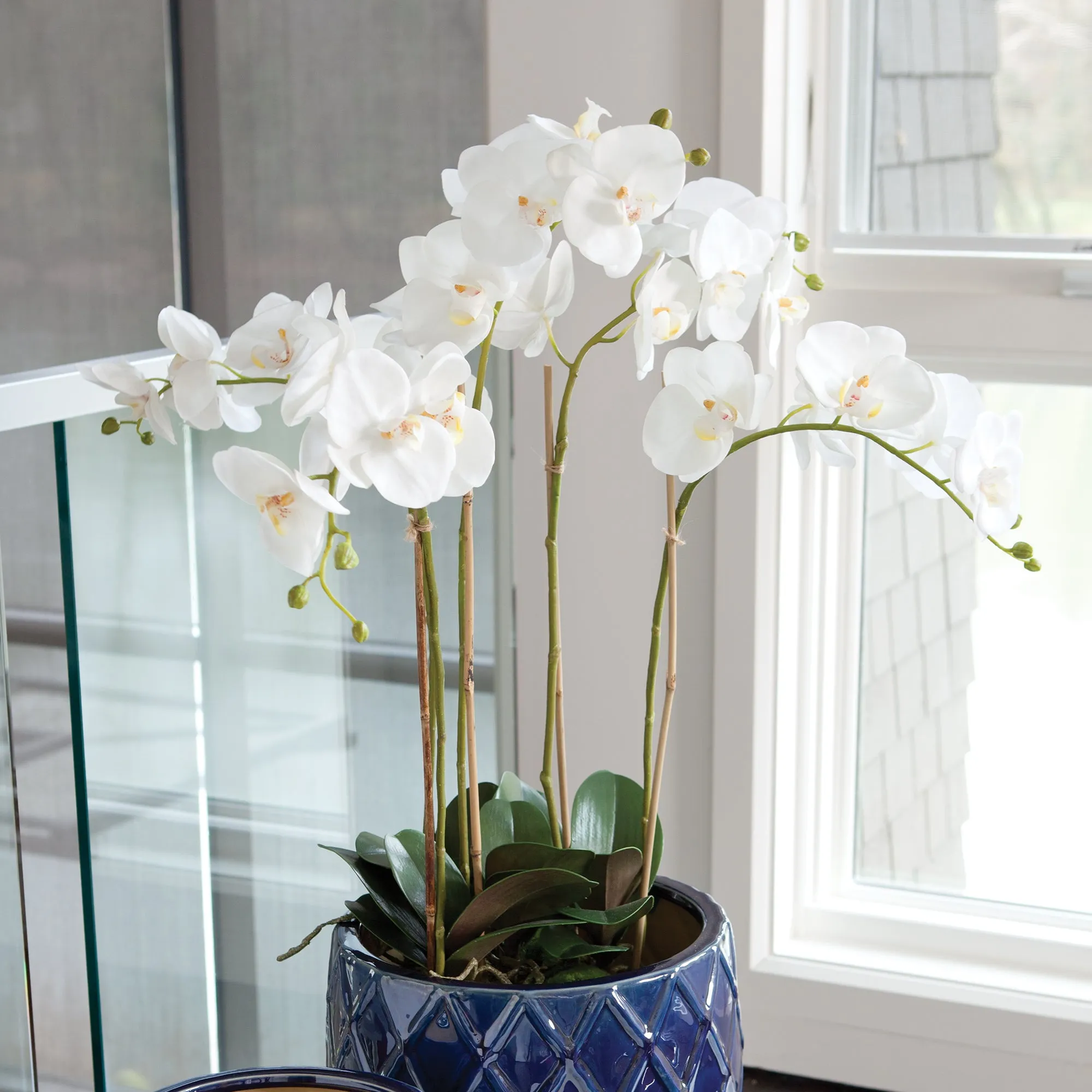 NAPA Home & Garden, PHALAENOPSIS ORCHID BOWL DROP-IN 25",K112W