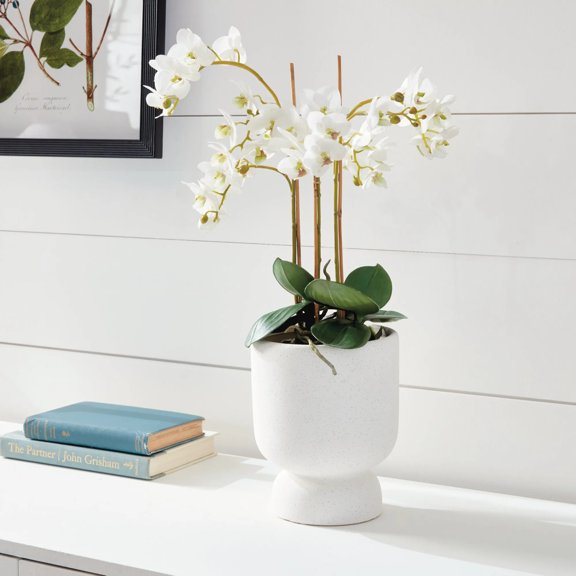 NAPA Home & Garden, PHALAENOPSIS ORCHID DROP-IN 20",K126W