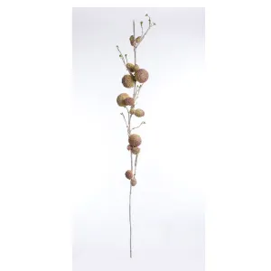 NAPA Home & Garden, SALAK BRANCH,FF0090