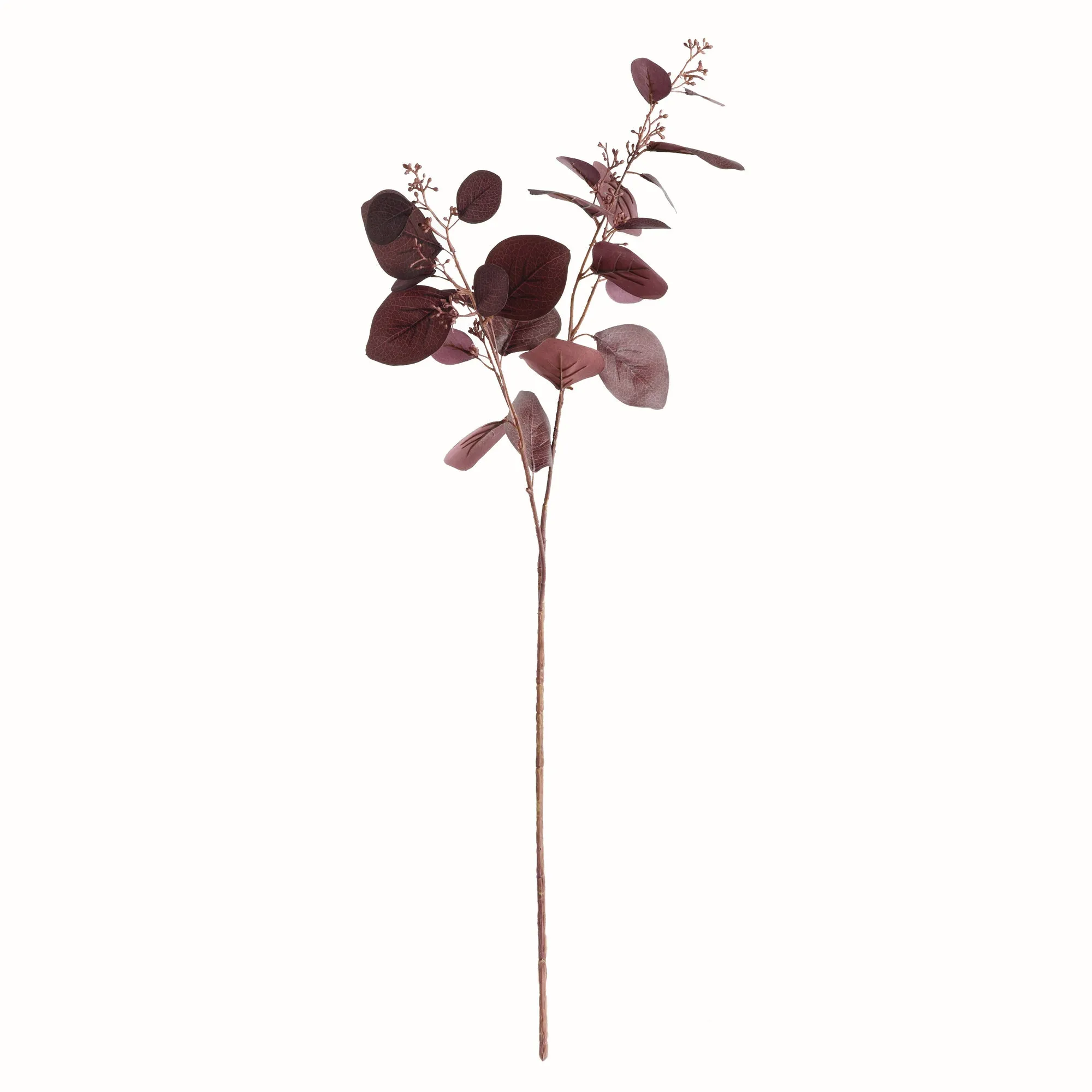 NAPA Home & Garden, SILVER DOLLAR EUCALYPTUS BRANCH 32",N4GP400PRD