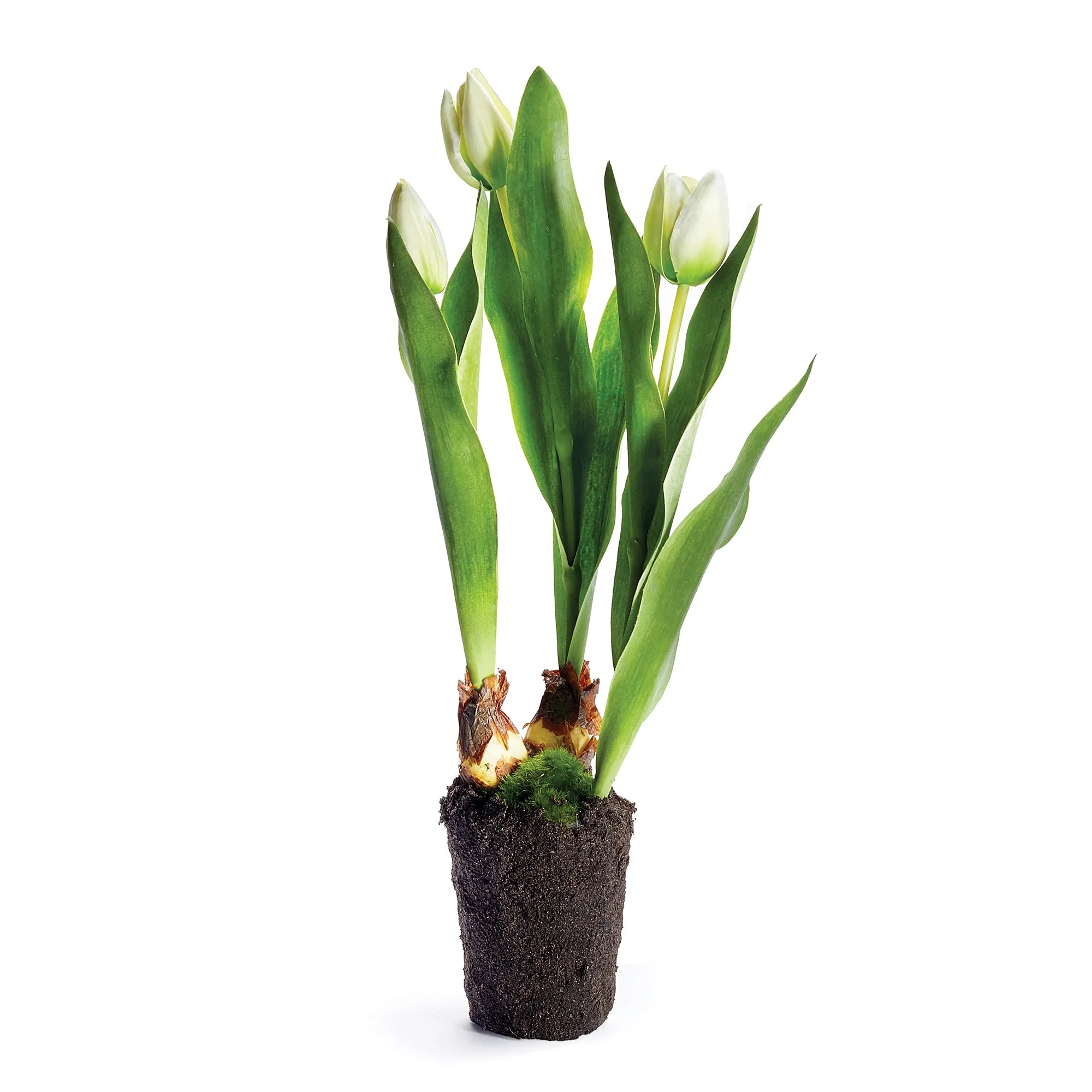 NAPA Home & Garden, TULIP DROP-IN 18",CC324WH
