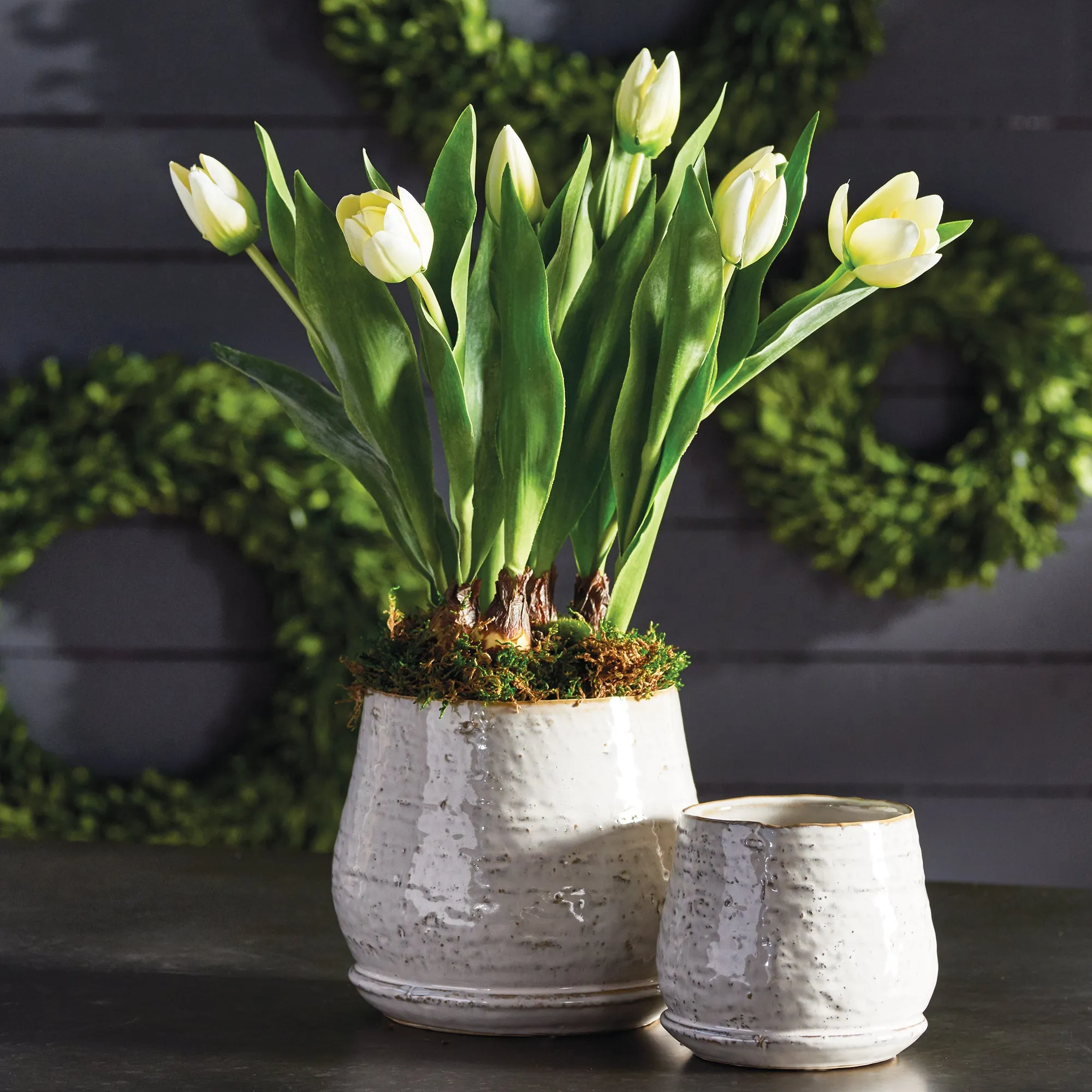 NAPA Home & Garden, TULIP DROP-IN 22",CC325WH