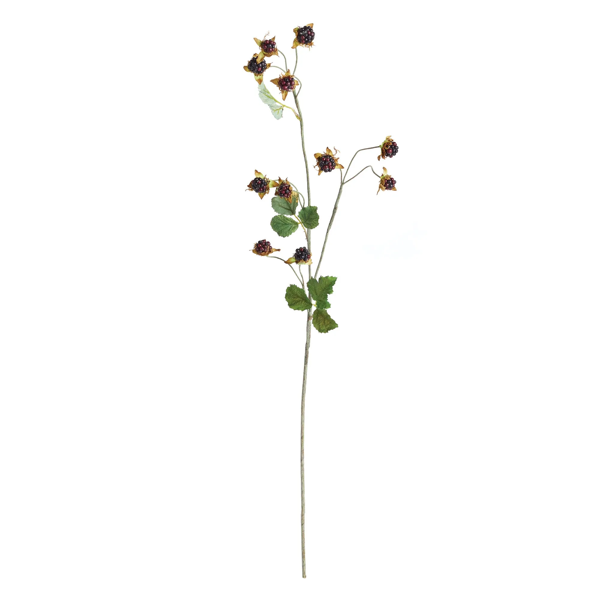 NAPA Home & Garden, WILD BLACKBERRY STEM 31",TP415
