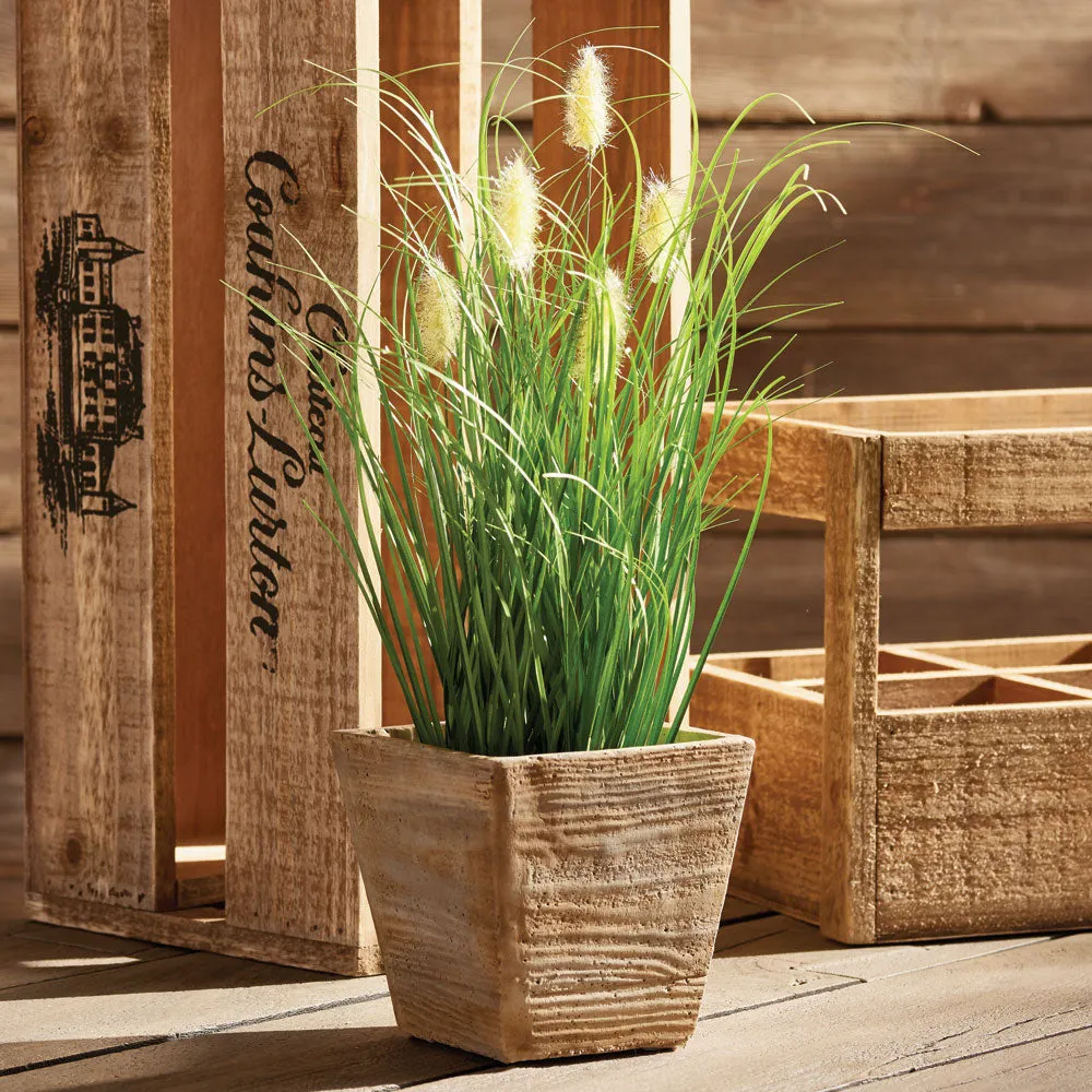 NAPA Home & Garden, WILD GRASS DROP-IN 16,GP246