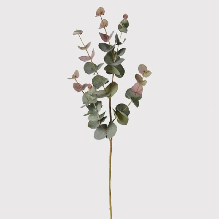 Natural Blush Eucalyptus Stem