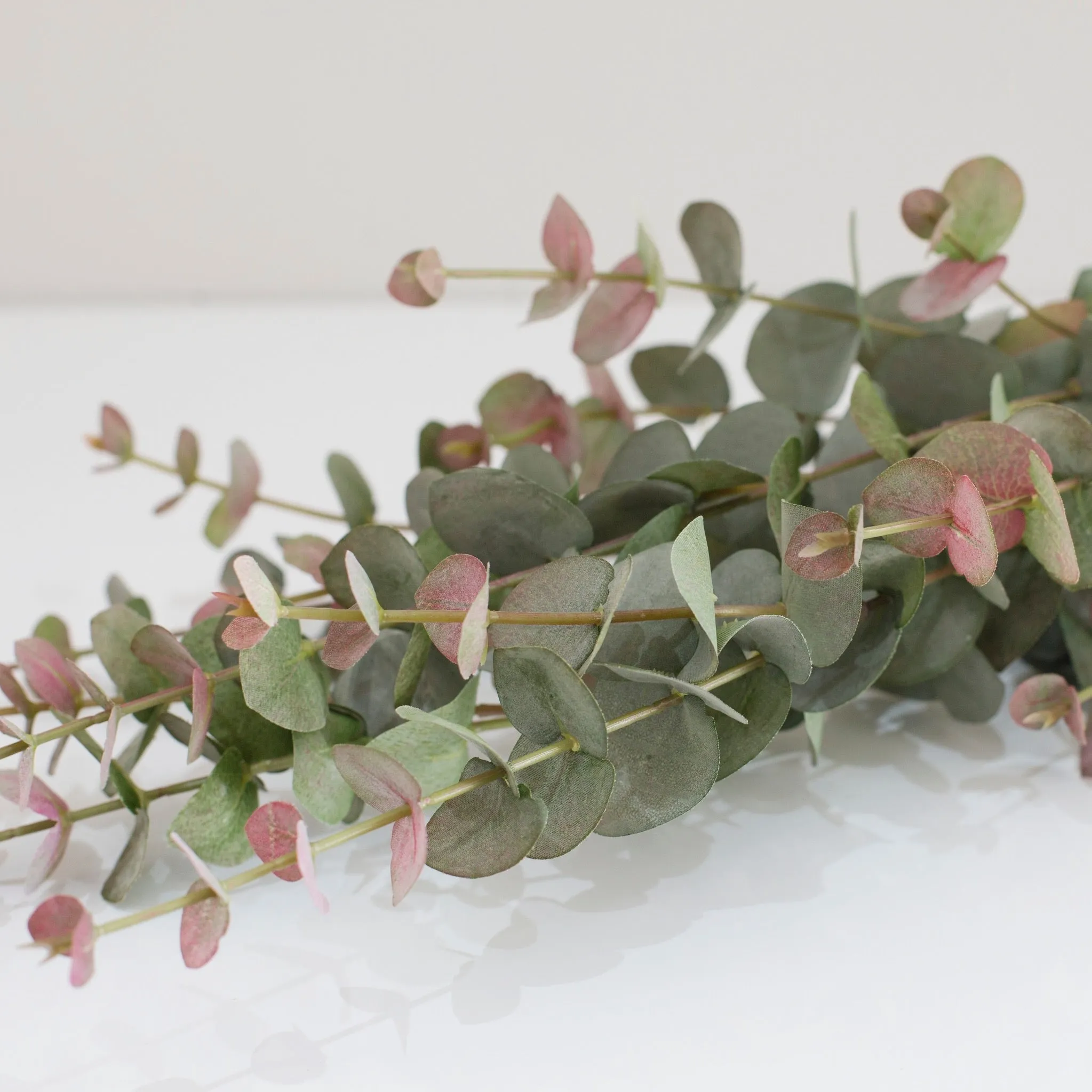 Natural Blush Eucalyptus Stem