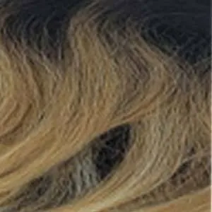 Outre Synthetic Melted Hairline HD Lace Front Wig - MCKENNA