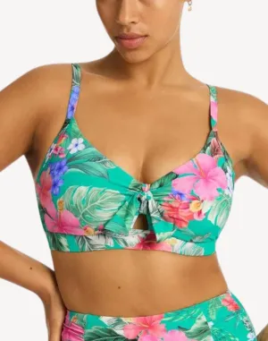 Pacifico DD/E Bralette Bikini Top