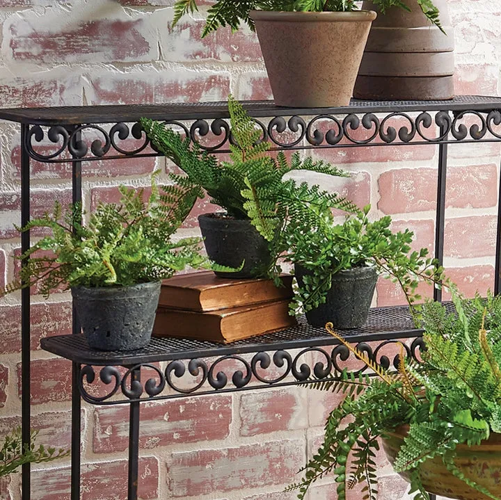 Potted Fern