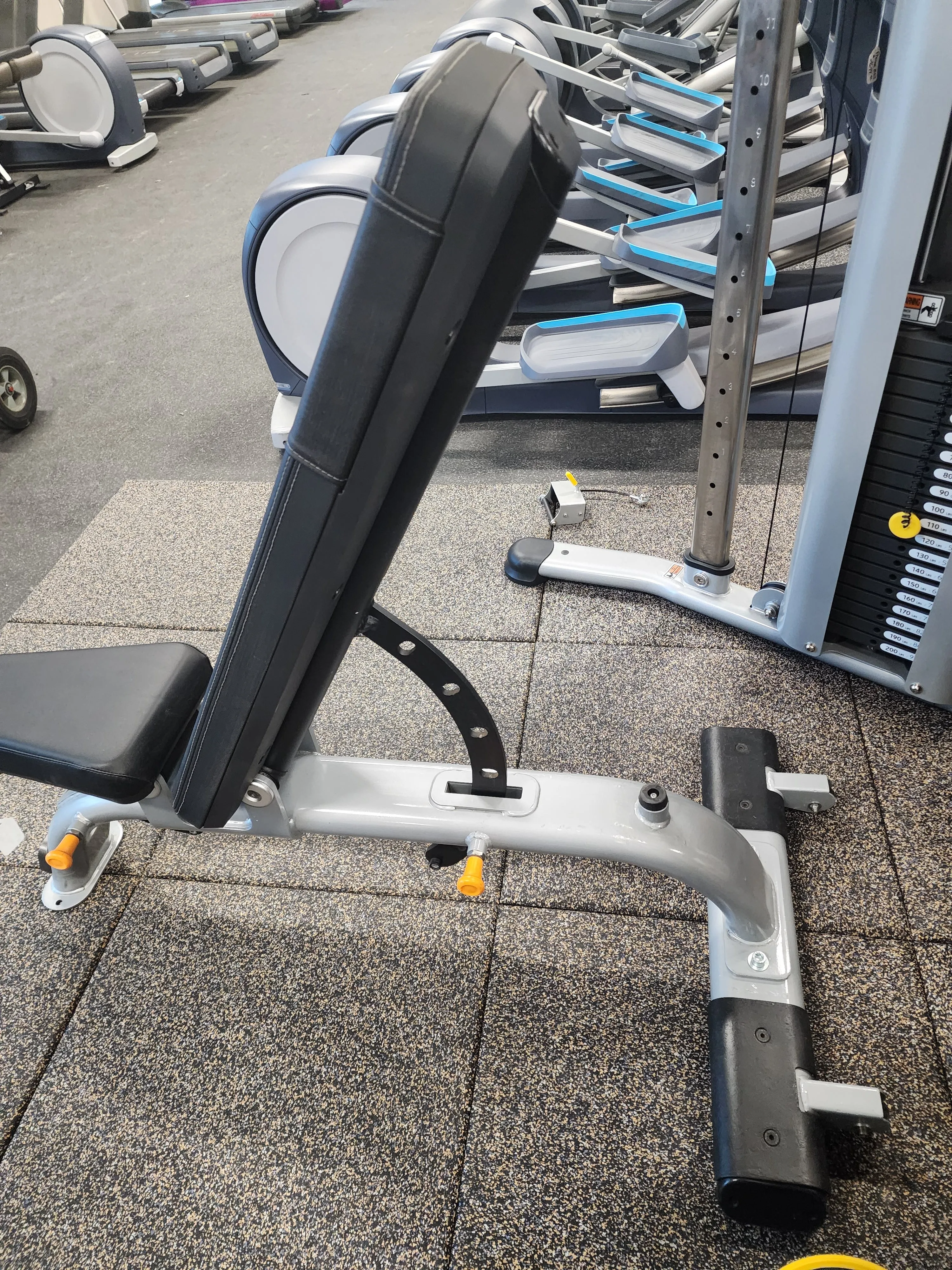 Precor Discovery Multi-Adjustable Bench DBR0119