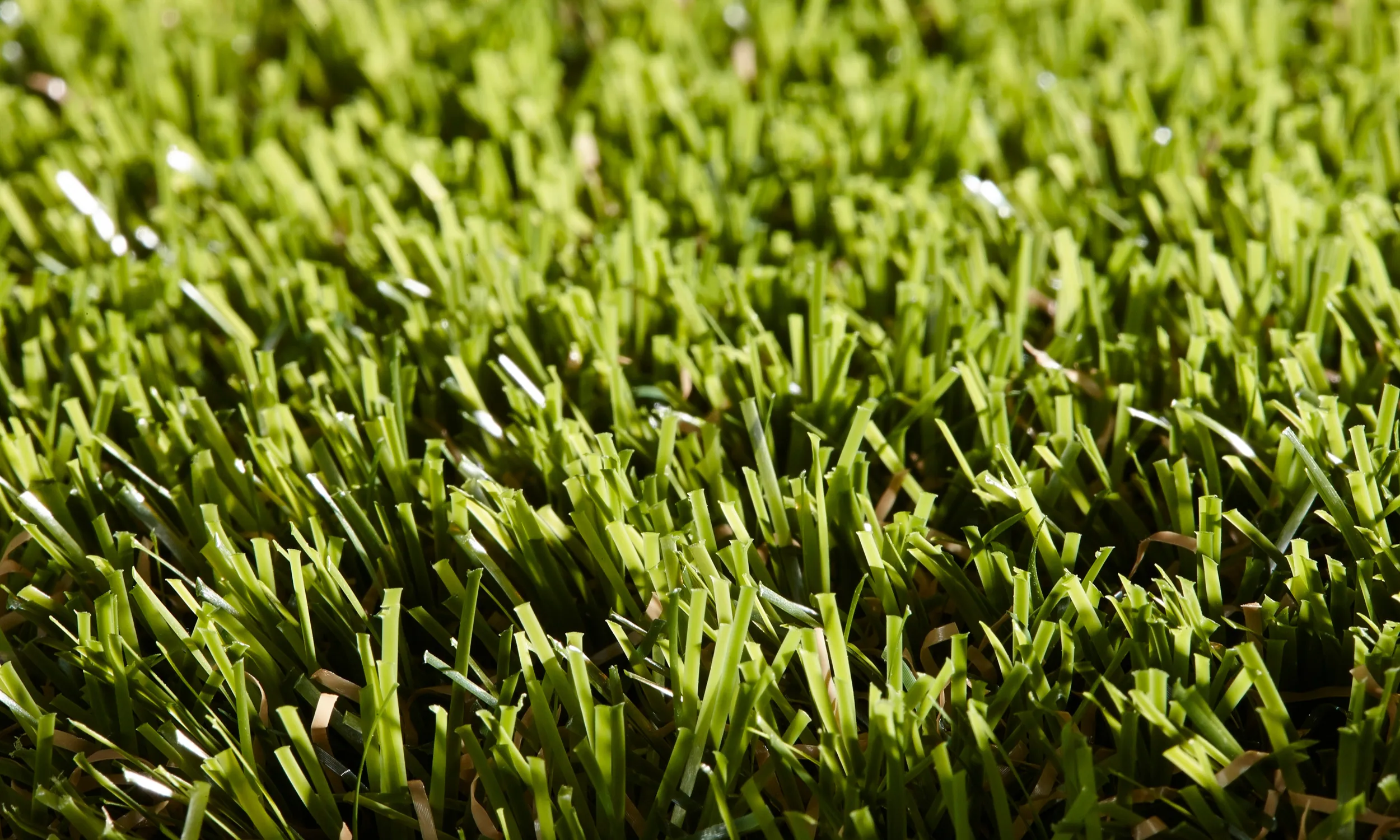 Rosemary 40mm Luxury Artificial Grass - Full Roll Deal