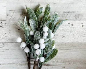 Set of frosted mistletoe greenery picks