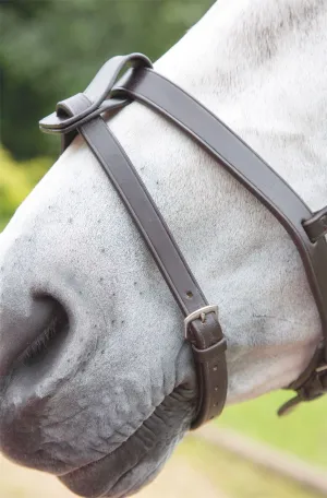 Shires Blenheim Flash Strap