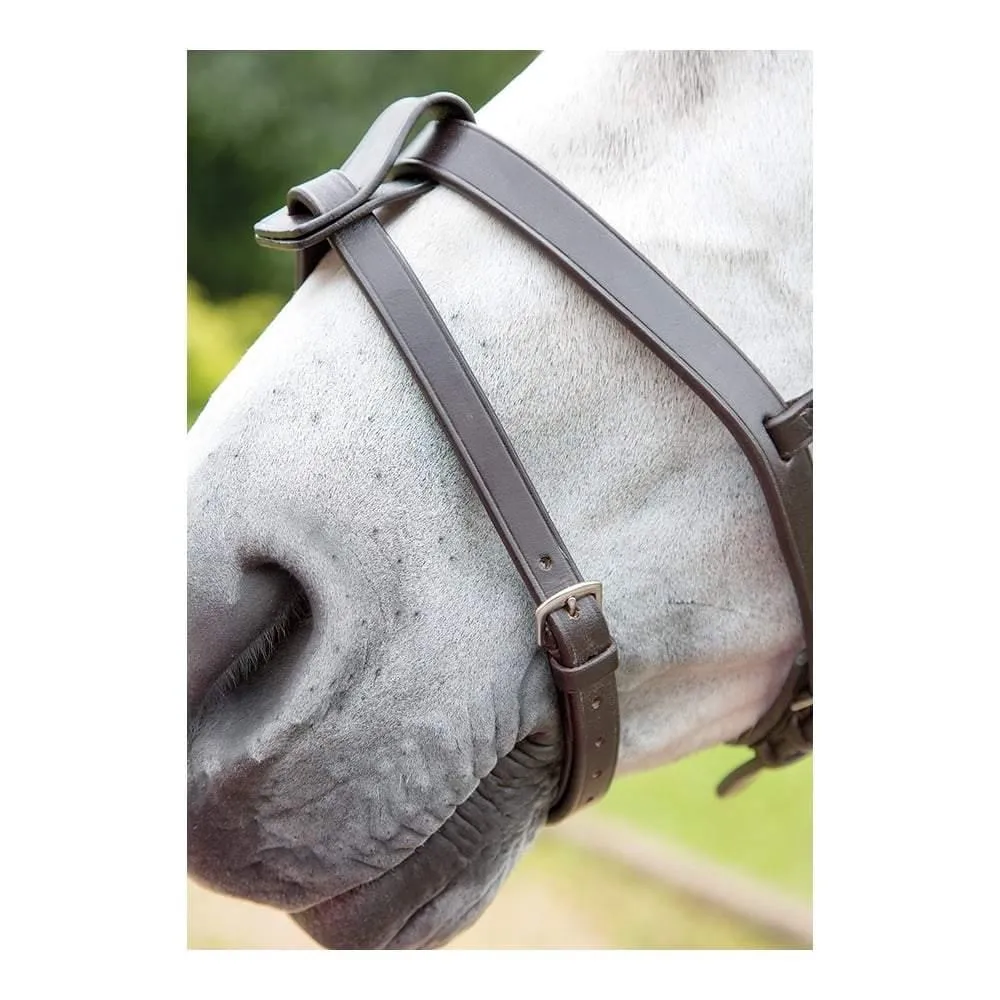 Shires Blenheim Flash Strap
