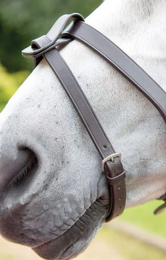 Shires Blenheim Flash Strap