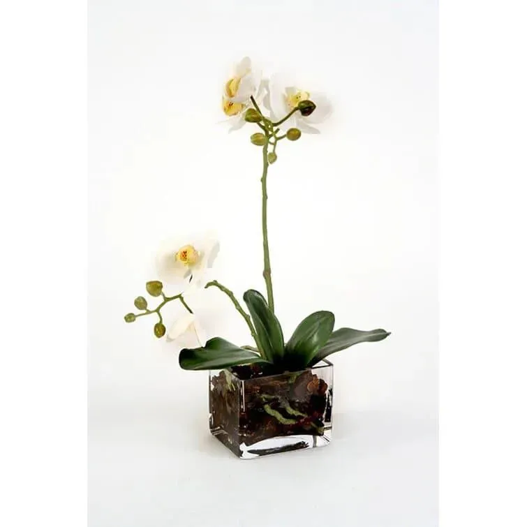 Silk Orchids Floral Arrangement in Glass Cube