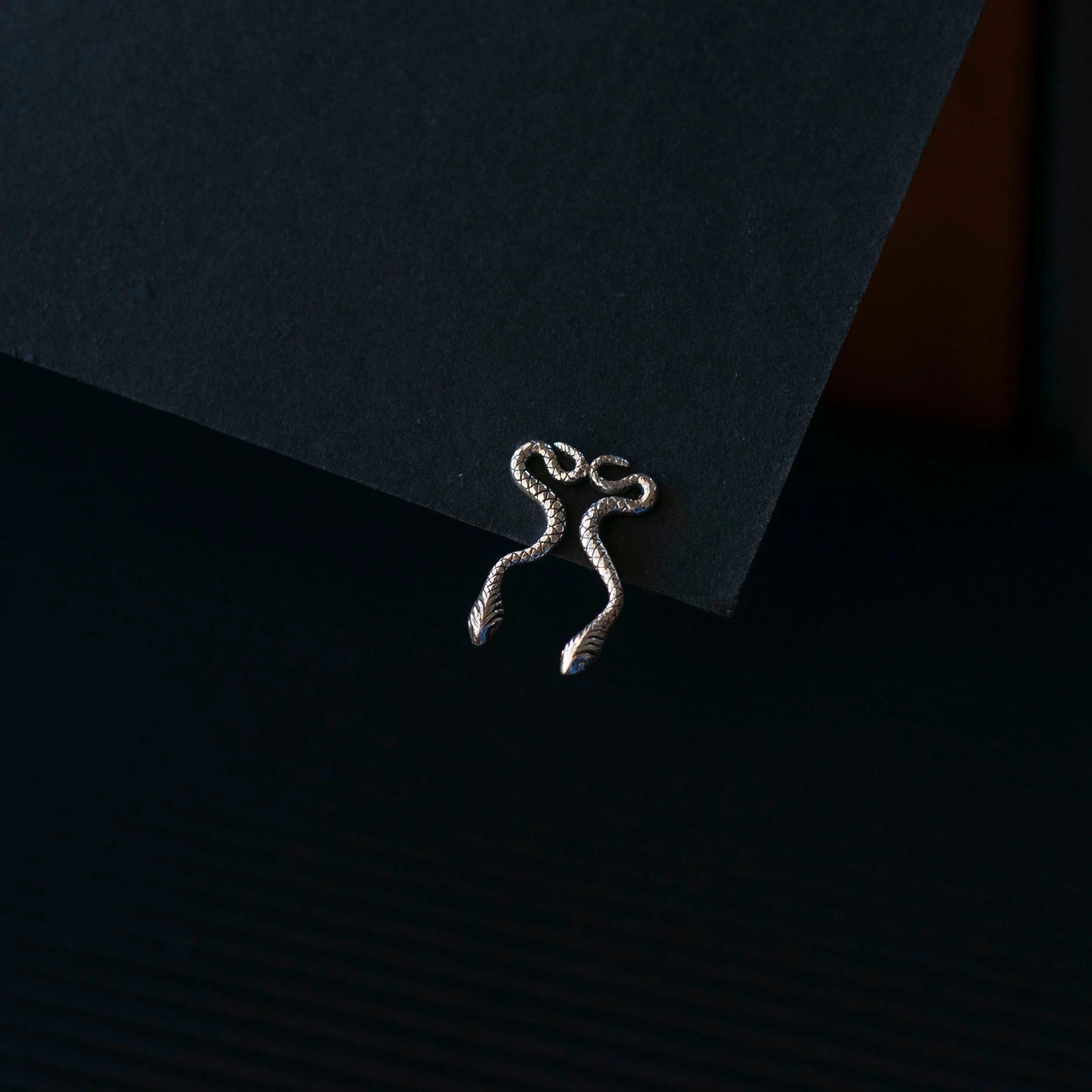 Snake Tiny Earrings