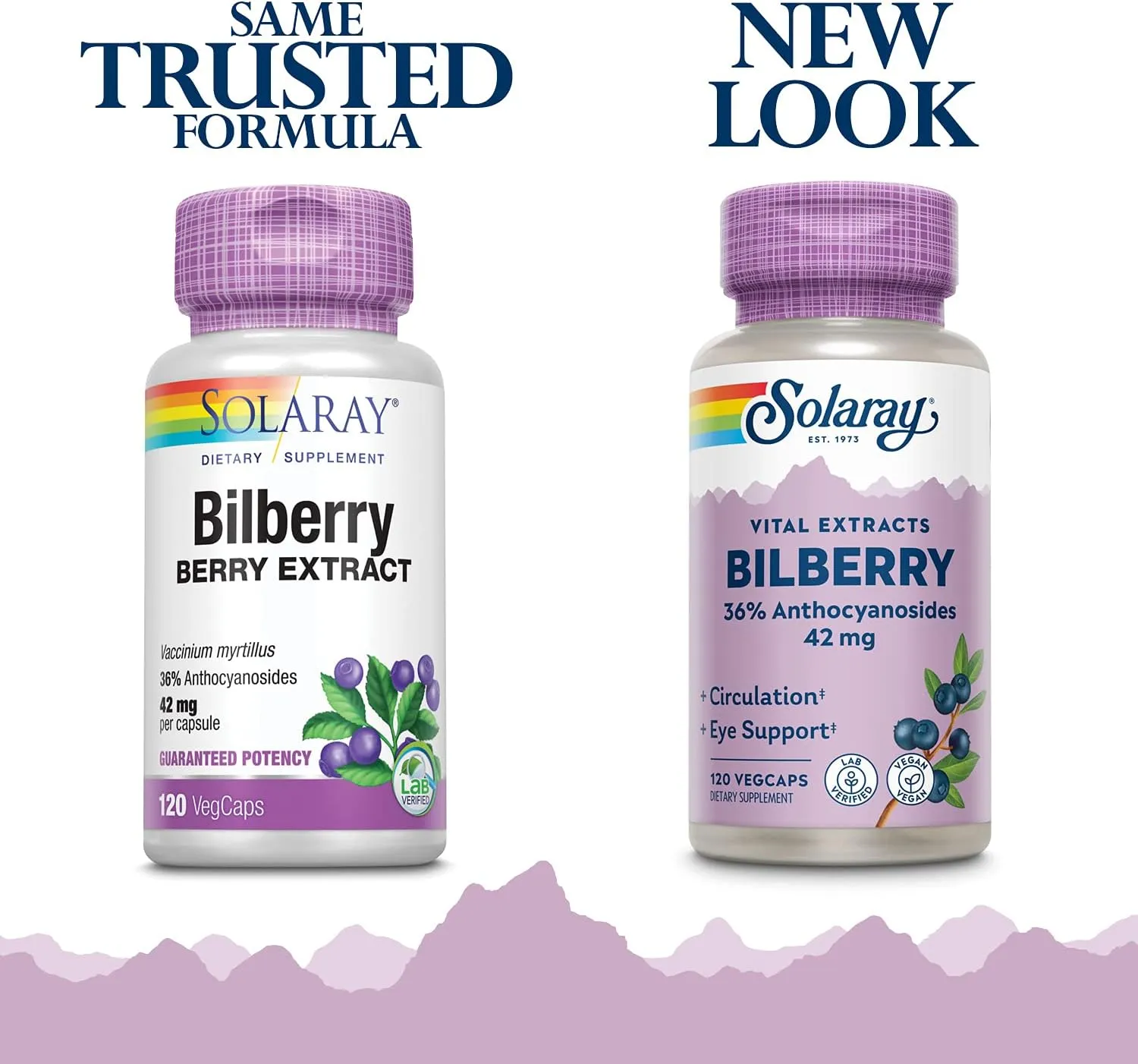 Solaray Bilberry Berry Extract 42 mg, Eye Health & Circulation Support, with 36% Anthocyanosides, Vegan, 120 VegCaps