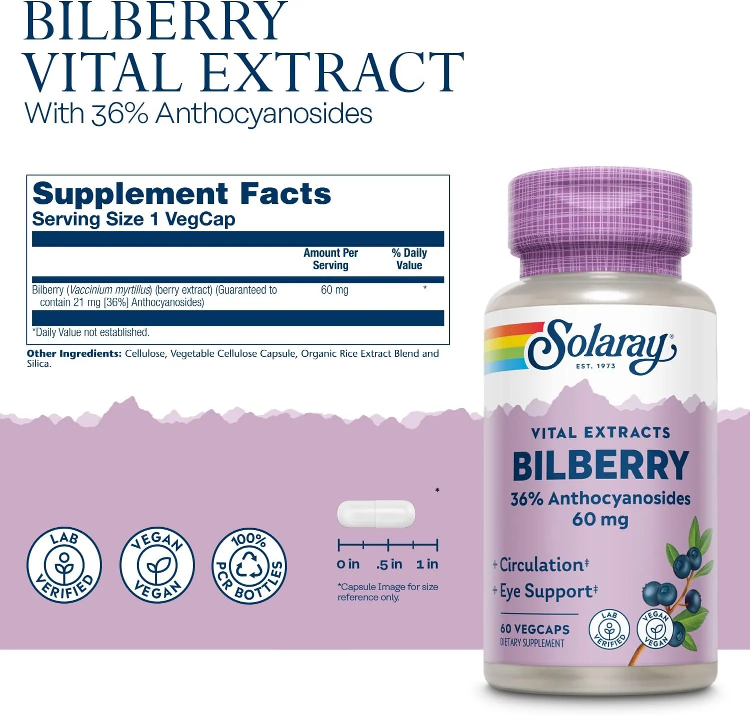 Solaray Bilberry Berry Extract 60 mg | Powerful Antioxidant | Healthy Vision & Circulation Support | 60 VegCaps