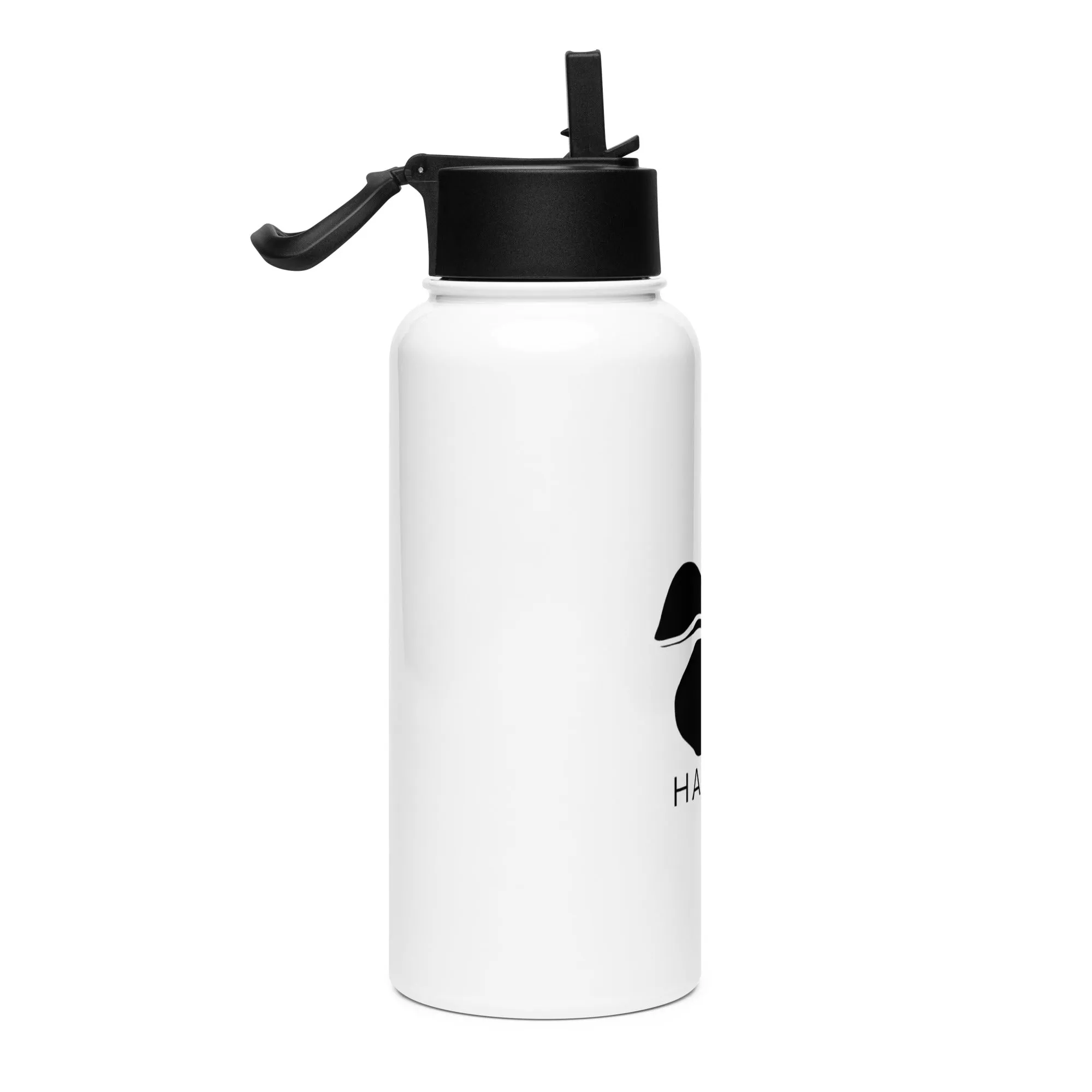 Stainless steel water bottle with a straw lid - Plumeria Hawaii