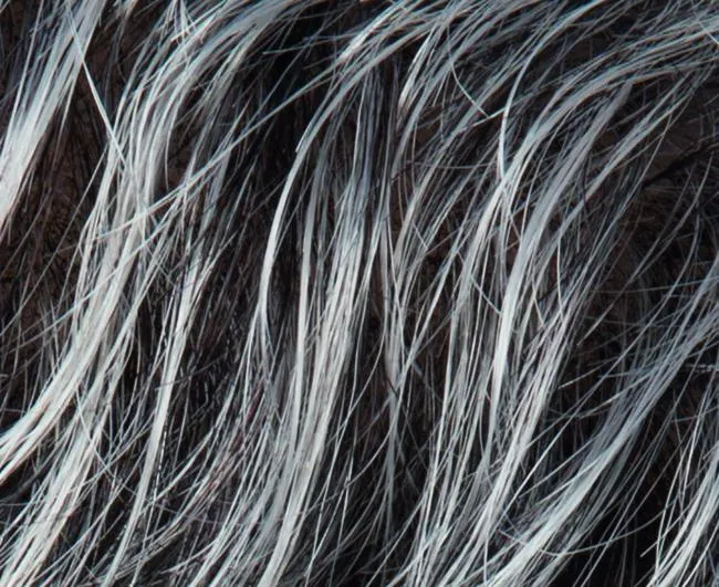 Stay | Perucci | Synthetic Wig
