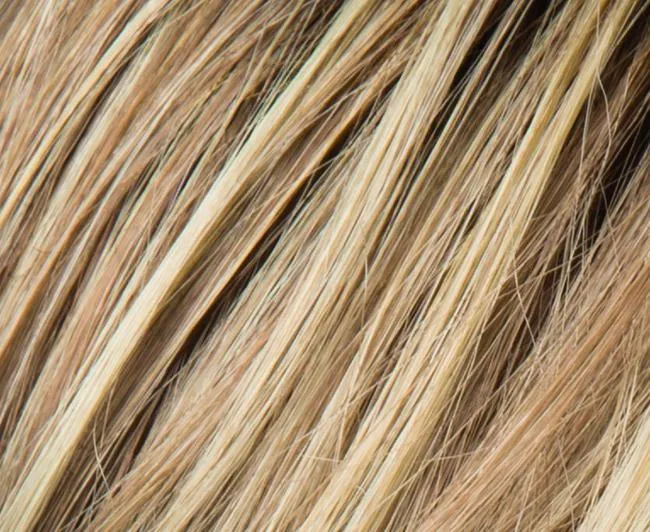 Stay | Perucci | Synthetic Wig