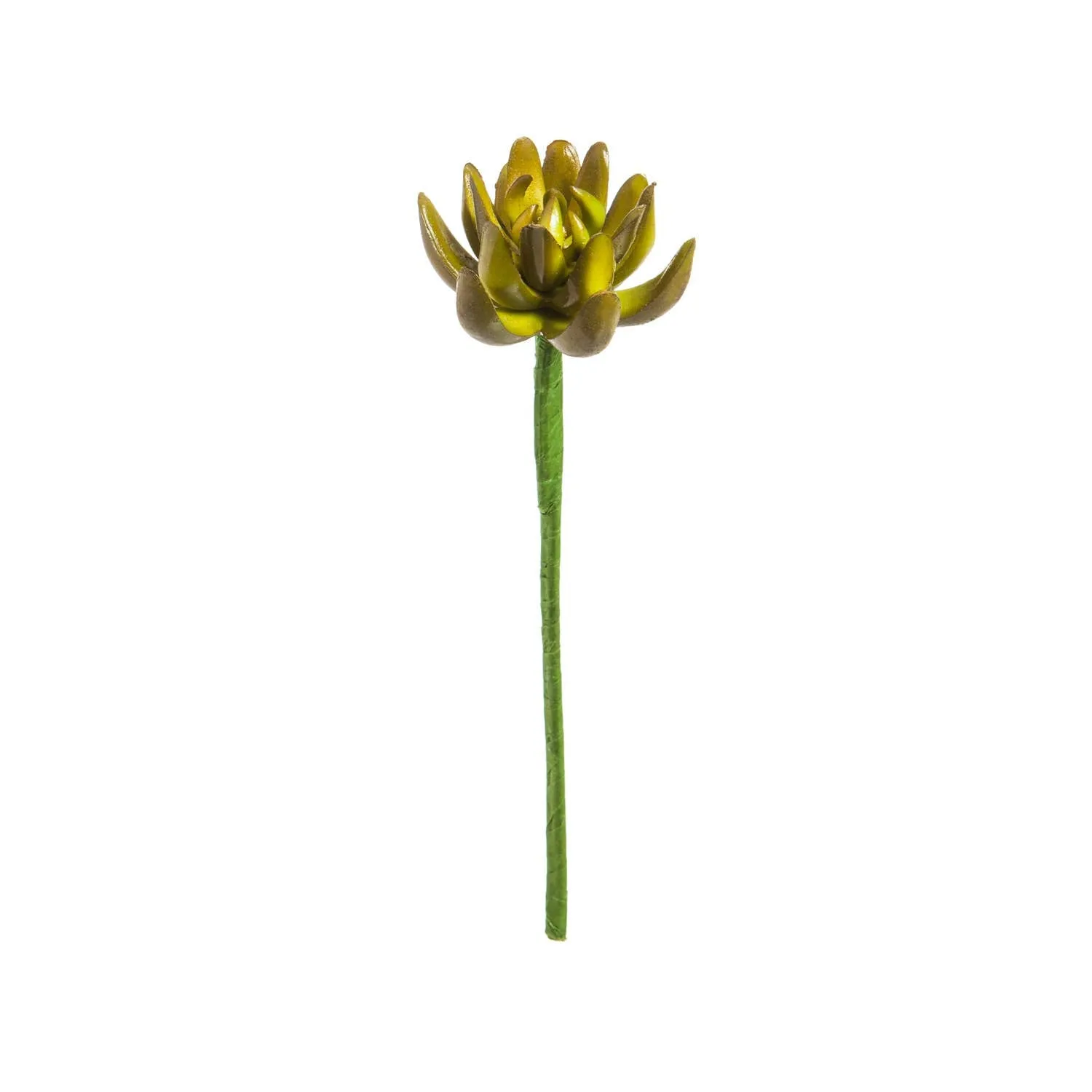 Succulent Decorative Stems