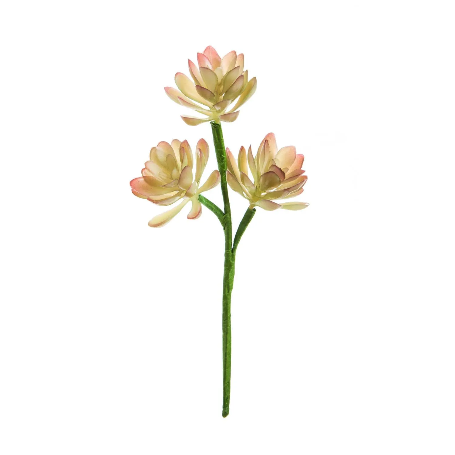 Succulent Decorative Stems