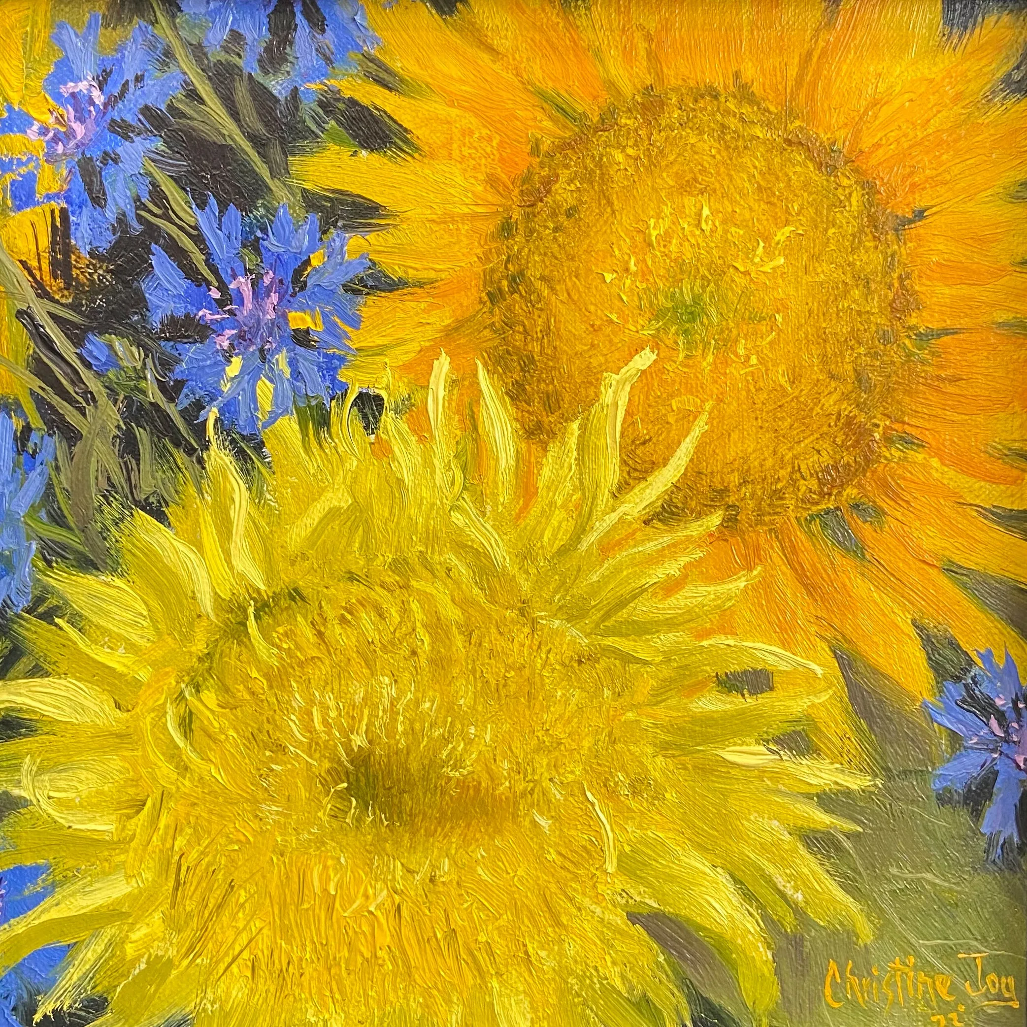 Sunflower and Bachelor Buttons