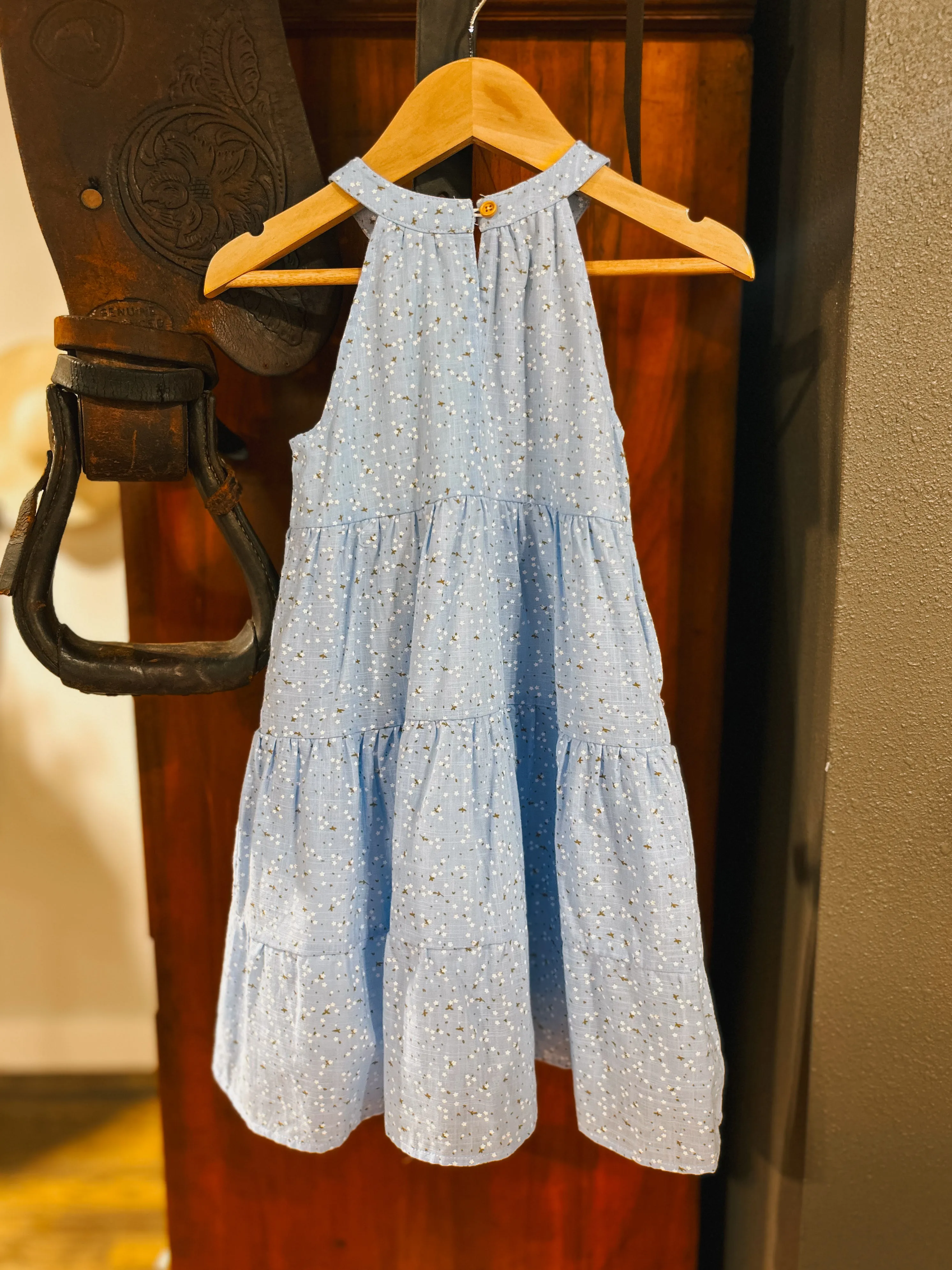 The Blue Jasmine Dress (4T)