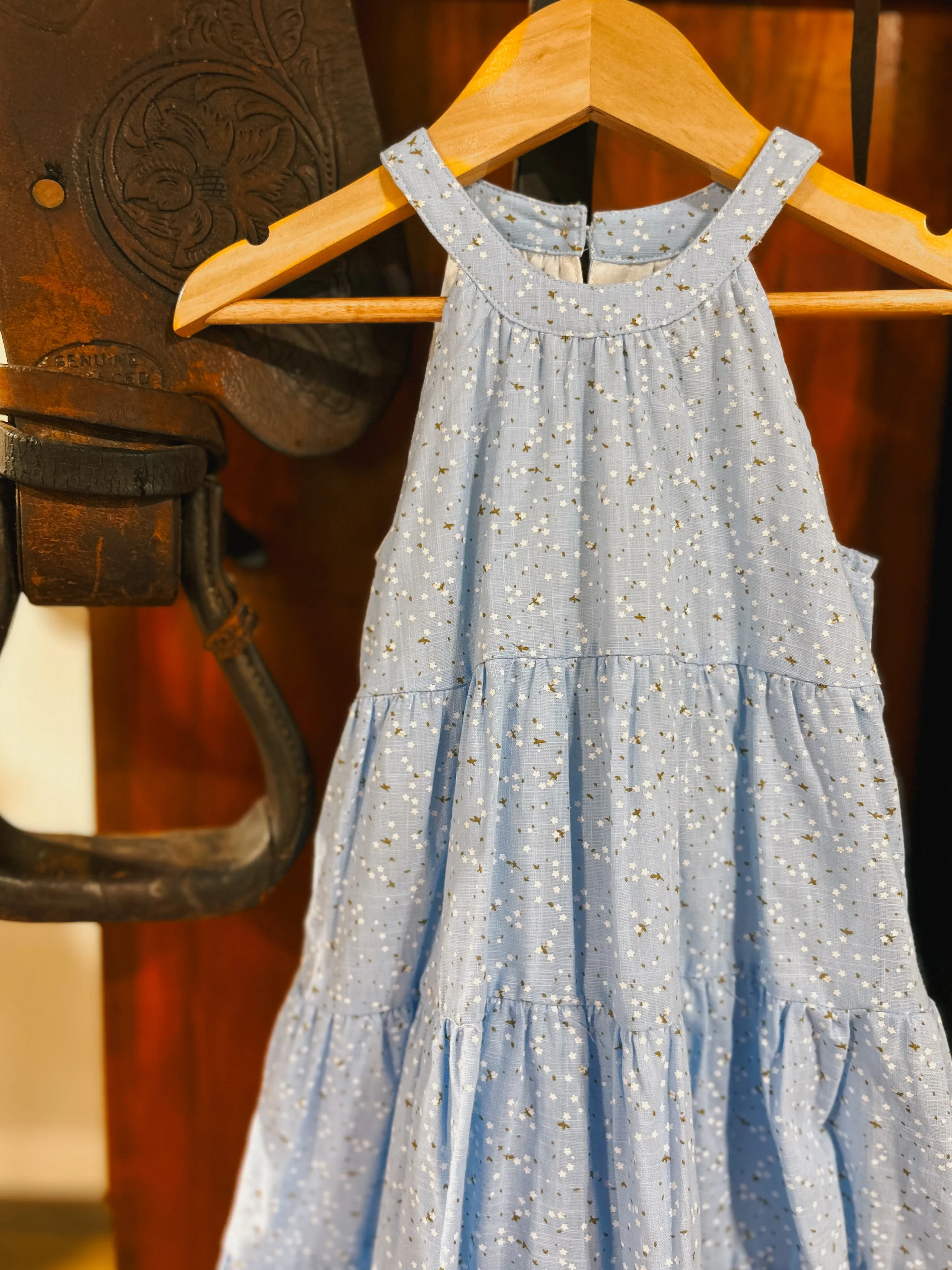 The Blue Jasmine Dress (4T)