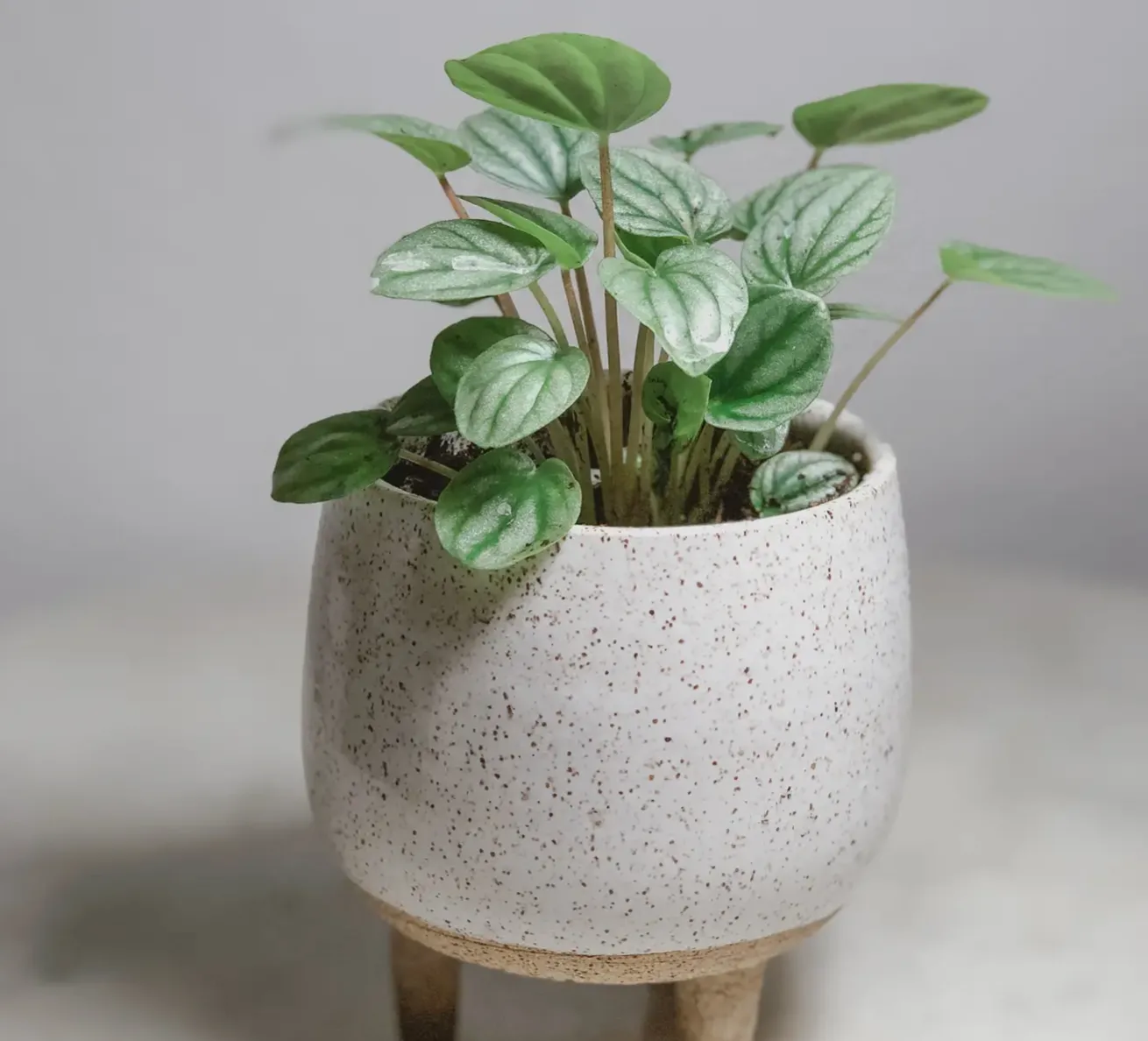 Tiny Ceramic Tripod Planter