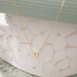 Tiny Horseshoe Necklace