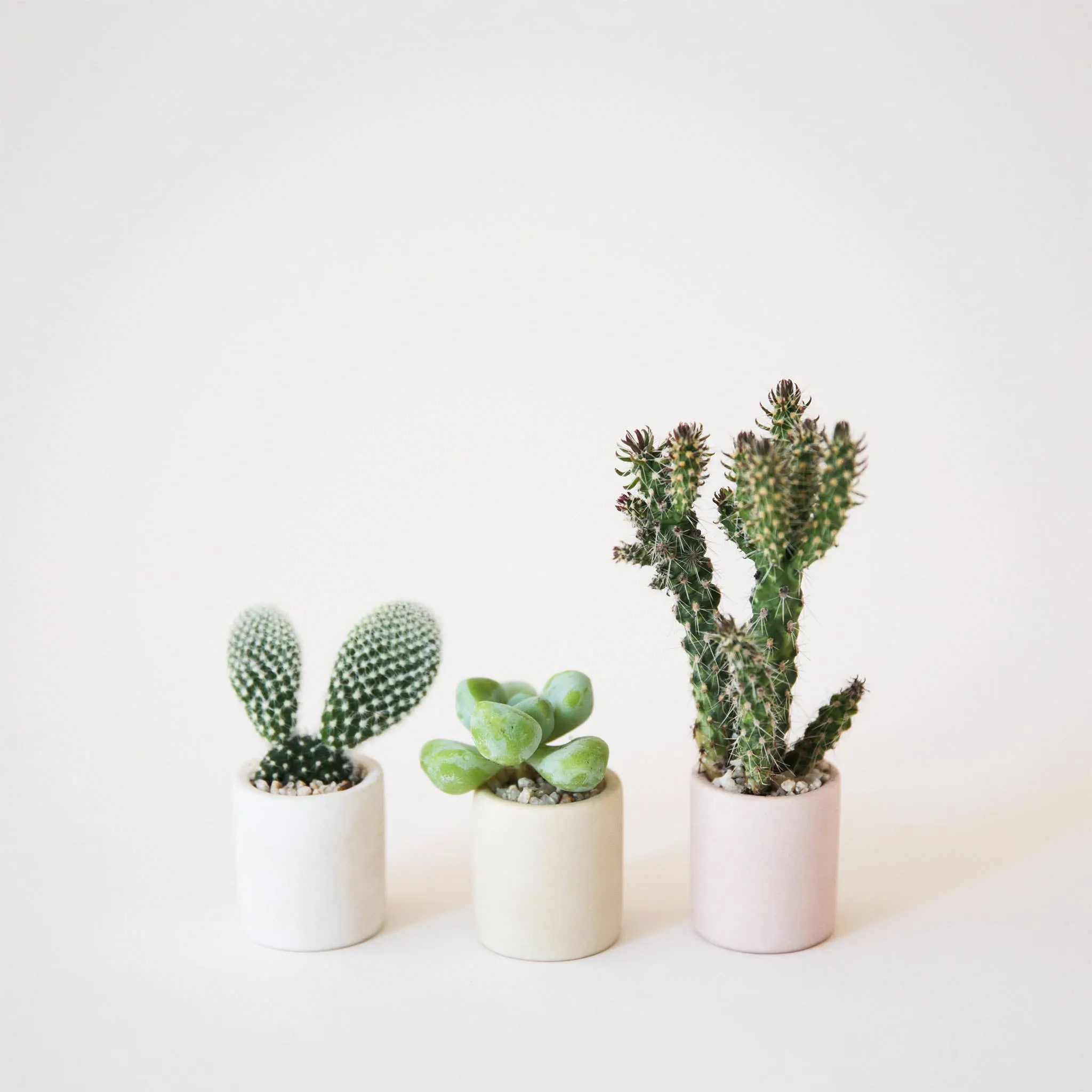 Tiny Pot - Pink