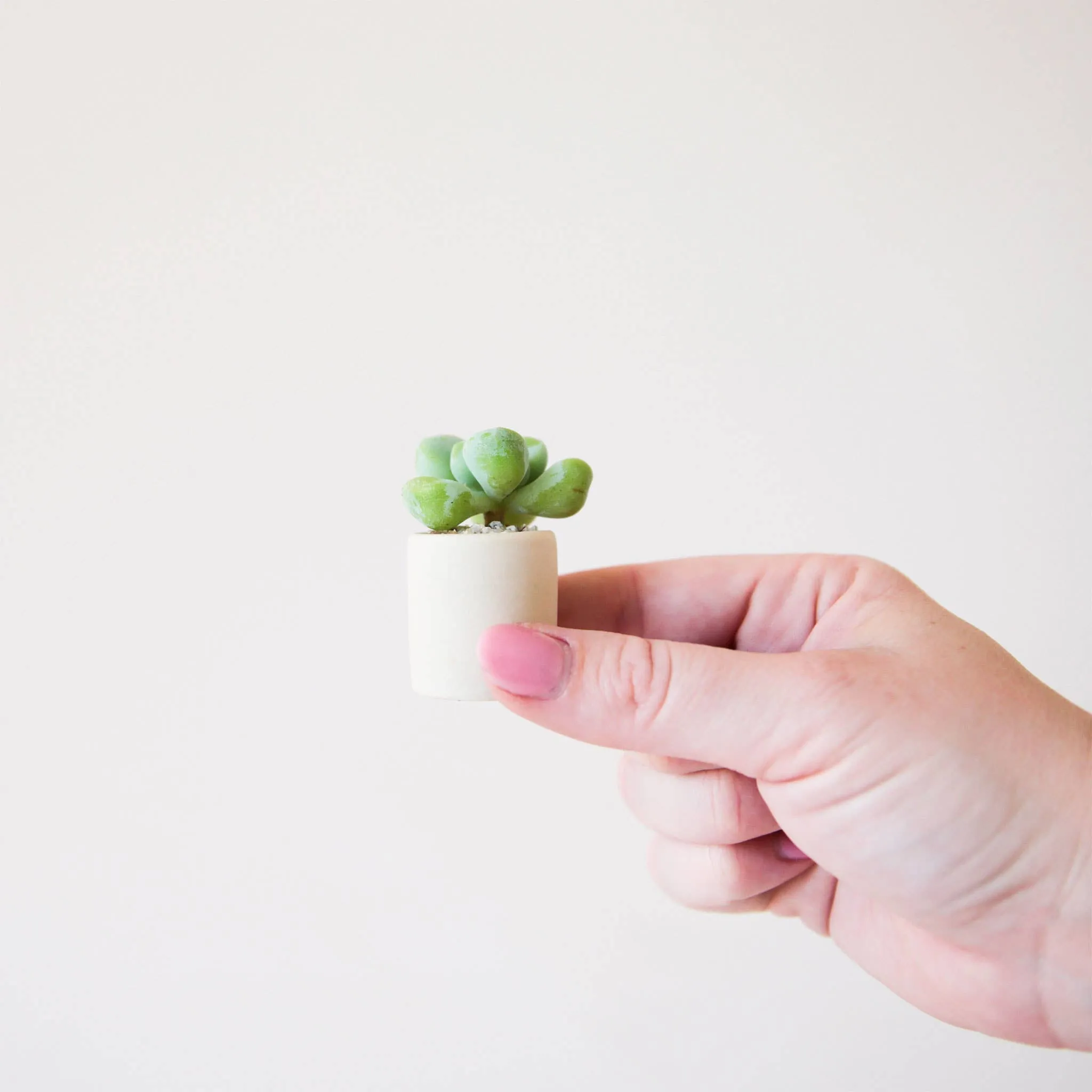 Tiny Pot - Pink