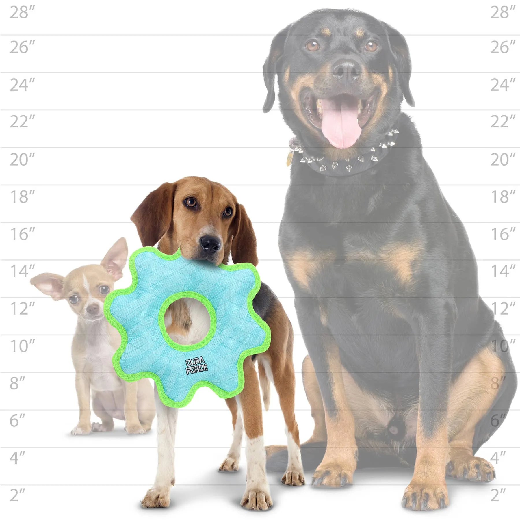 Tuffy Dog Toys - VIP Products - DuraForce Med Gear Ring - Blue, Durable, Squeaky Dog Toy
