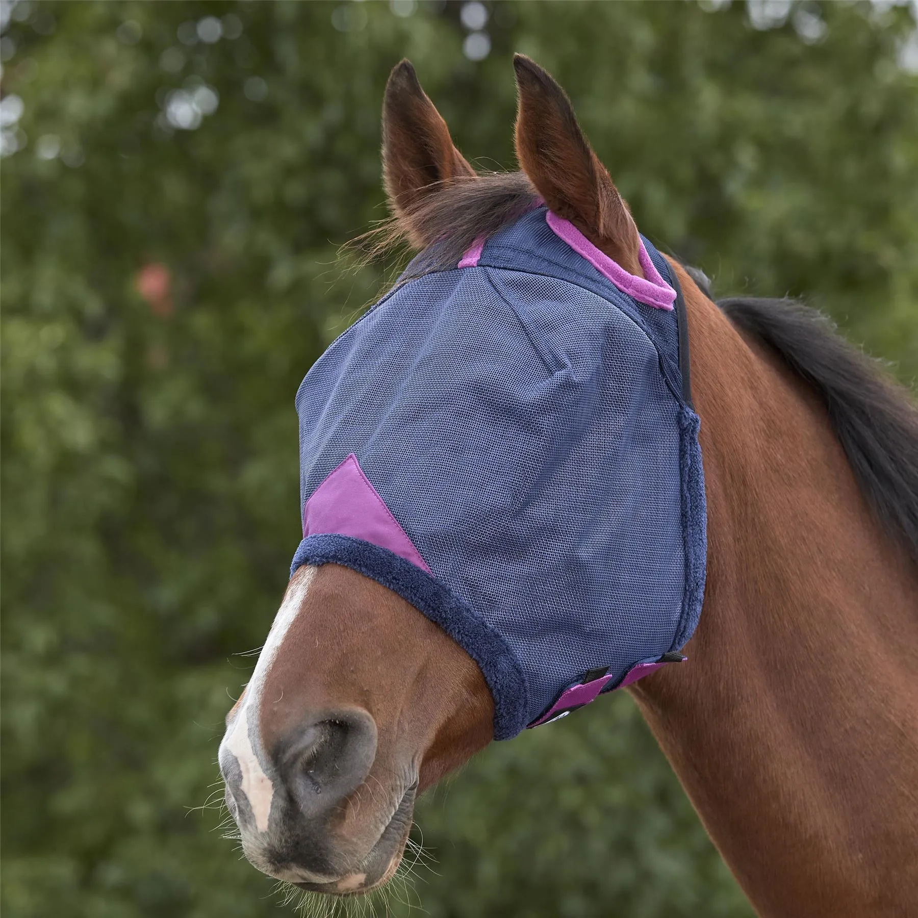 Weatherbeeta Comfitec Deluxe Durable Mesh Mask